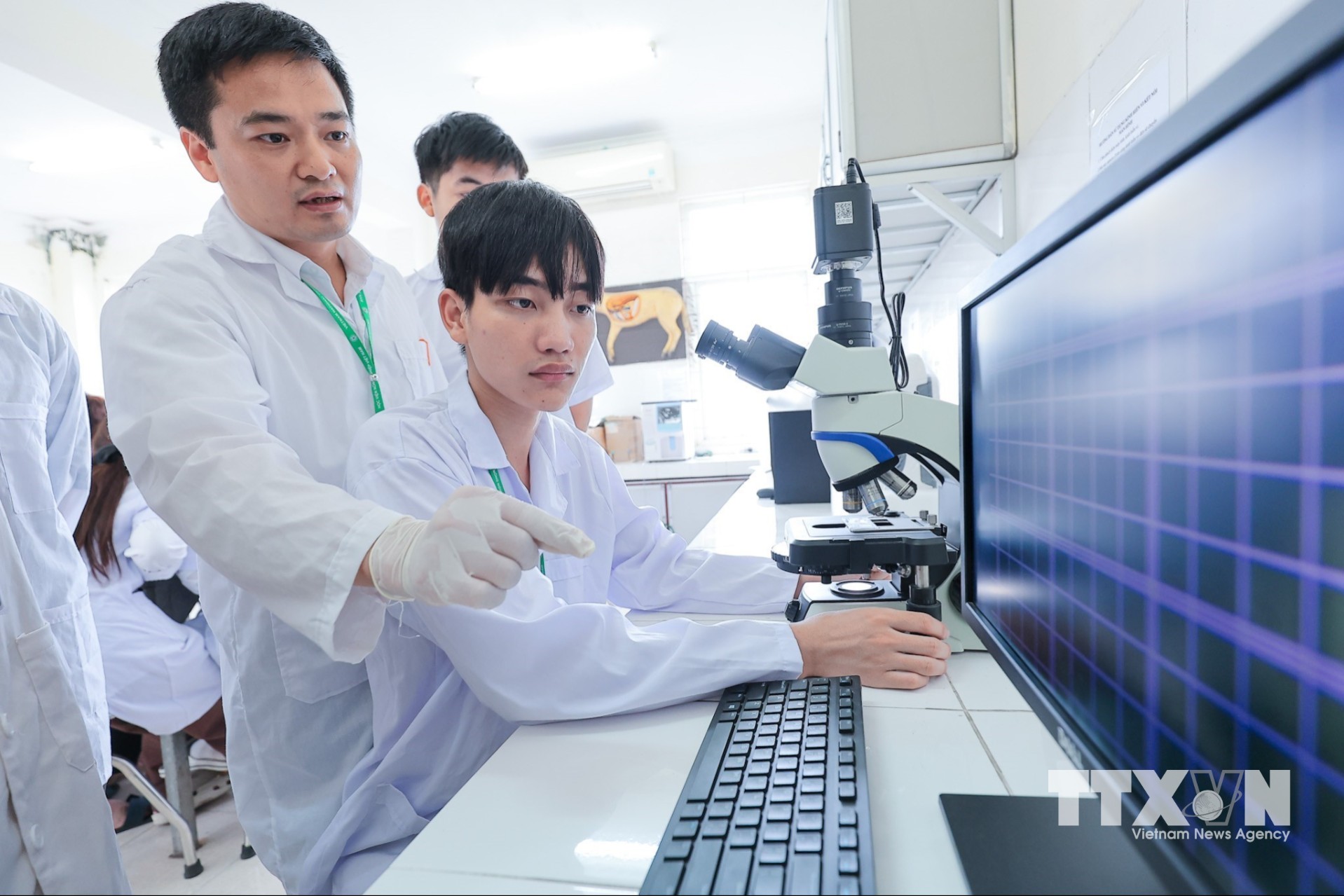 Giảng viên hướng dẫn sinh viên Khoa Chăn nuôi sử dụng kính hiển vi quang học để đếm số lượng hồng - bạch cầu trong máu của vật nuôi. (Ảnh: Lê Đông/TTXVN)